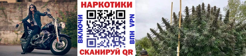 Что такое Алапаевск Галлюциногенные грибы Мефедрон