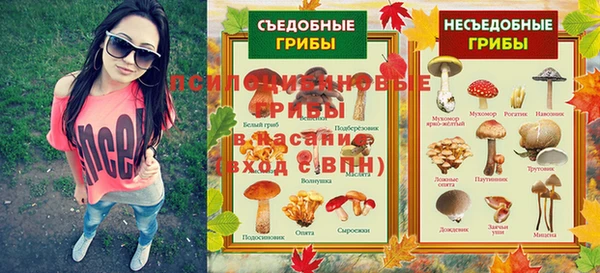 дживик Абинск