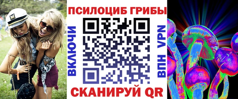 купить наркотик  Алапаевск  Псилоцибиновые грибы Magic Shrooms 