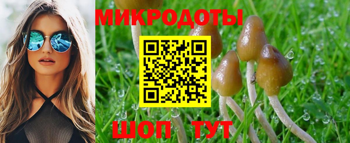 Галлюциногенные грибы MAGIC MUSHROOMS  Псилоцибиновые грибы MAGIC MUSHROOMS  Алапаевск  Вход с VPN 