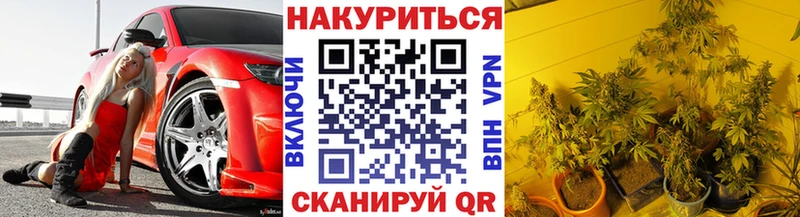 Канабис семена как найти закладки Алапаевск